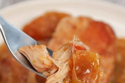 Best Crock Pot Apple Pork Chops